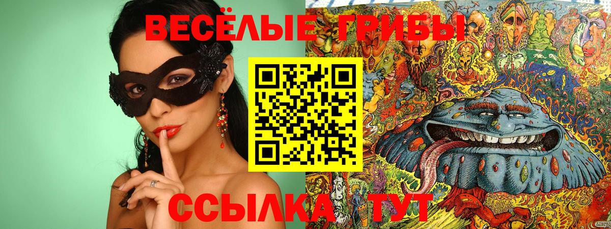 Псилоцибиновые грибы Magic Shrooms Касимов
